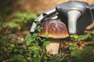 Pilze im PC vermeiden Elektroschrott