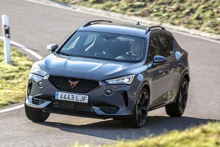 Cupra Formentor 2.0 TSI 4Drive Realverbrauch