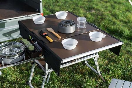 Elektrofrosch Pro Camping (2020)