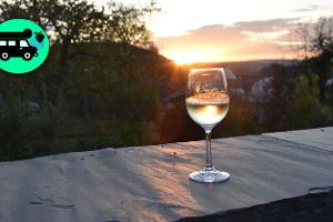 Top 6 Stellplätze an Weingütern an der Mosel