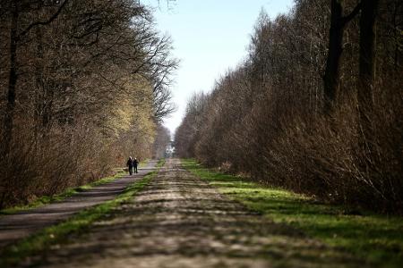 Sturzgefahr: Roubaix-OK will Arenberg-Anfahrt entschärfen Sturzgefahr: Roubaix-OK will Arenberg-Anfahrt entschärfen