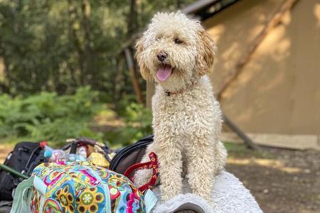 Glamping-Zelt