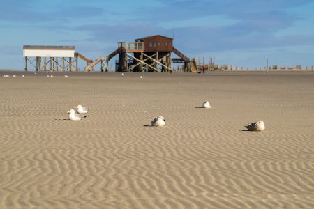 schutzstation wattenmeer