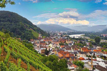 Stellplatz an der Weinstube Schalkhaus Klingenberg am Main f