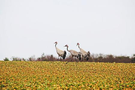 Stellplatz Fokus Uckermark i