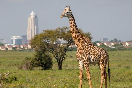 Nairobi, Kenya