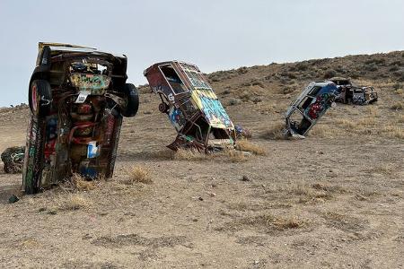 International Car Forest