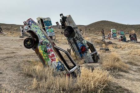 International Car Forest