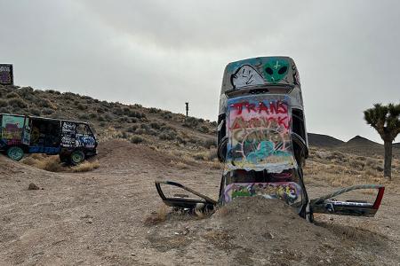 International Car Forest