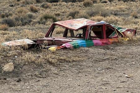 International Car Forest