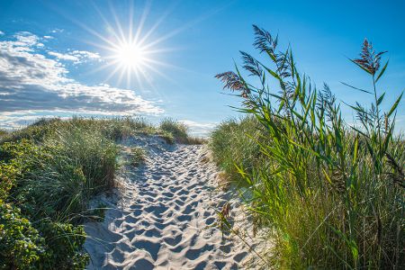 ostseestrand mit düne