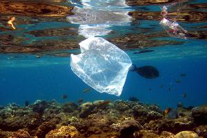 Studie: Bis zu elf Millionen Tonnen Müll auf dem Meeresgrund