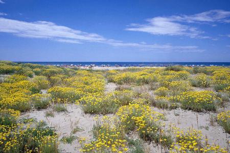 Camping Europa - Strand