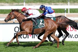 Galopp: Lordano gewinnt Carl-Jaspers-Preis