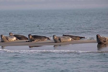 Zeeland