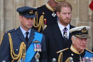 Statt an Harry: König Charles verleiht Prinz William Militär-Titel