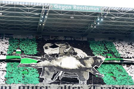 Bundesliga: Gladbach - Köln - Haue für den Geißbock! Vor dem rheinischen Derby zwischen Mönchengladbach und Köln bleibt auch am 14. Februar 2015 etwas Provokation nicht aus.
