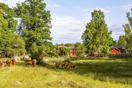 Camping,Schweden