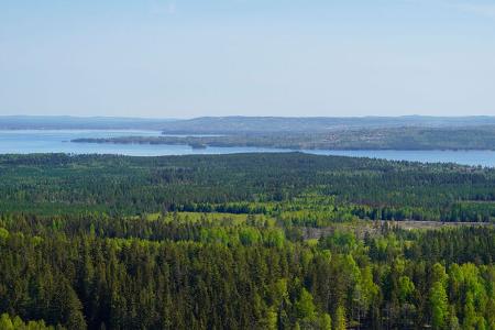 Camping Vaestanviksbadets f Naturum Dalarna