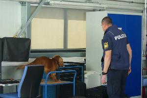 Grenzübergreifende Behördenzusammenarbeit - Die Hundeführer des deutschen Zolls, der deutschen Polizei und des tschechischen Zolls tauschen sich aus