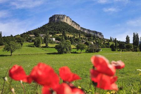 3 Volltreffer Drome Blumen