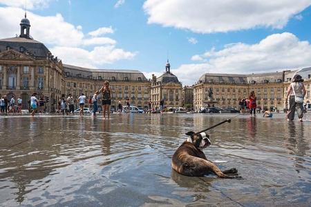 Campingbus-Tour de France