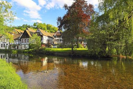 Idyllisches Kinzigtal- Plätzchen: