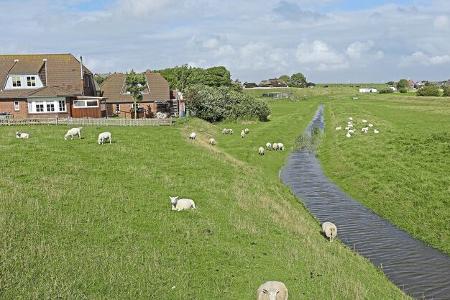 Halbinsel Nordstrand