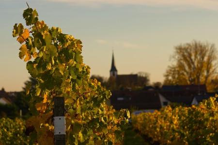 Weinfest