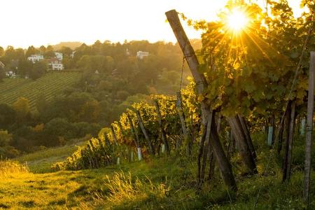 Weinfest