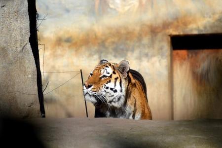 Zoo Leipzig