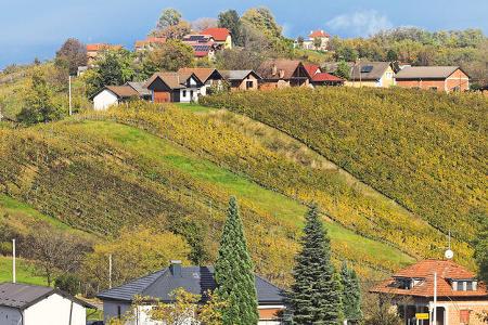 Weinberge, HŸgel, HŠuser, BŠume, Aussicht