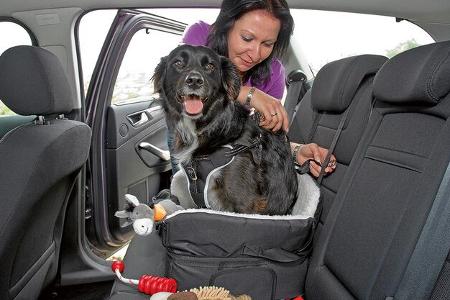 Mit Hilfe von Schnallen wird der Autositz für Hunde an der Rückbank angebracht.