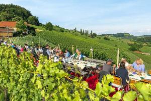 Durchs Weinland der Steiermark