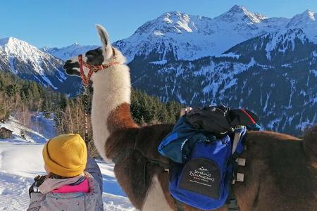 Lama Wanderung