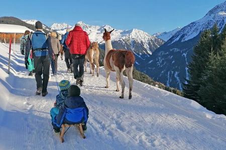 Lama Trekking