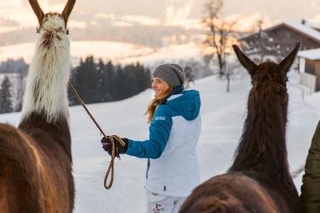 Winter in Tirol 