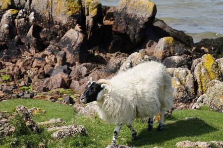 Reise Schottland f