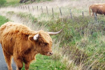 Reise Schottland f