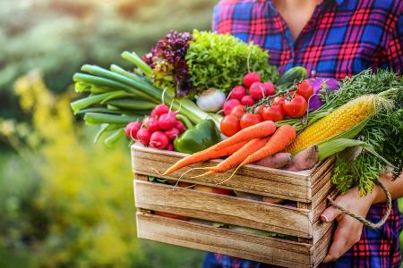 Gemüse retten: Drei leckere Rezepte für Frühling und Sommer