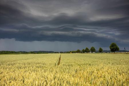 Gewitterwolken ziehen über die Region Augsburg. Wetterexperten rechnen mit schweren Sturmböen, Starkregen und Hagel.
