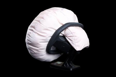 ZF Lifetec Airbag Lenkrad Display