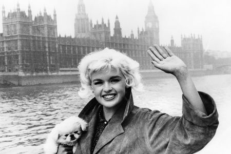 Frau mit Hund auf dem Arm vor dem britischen Parlament
