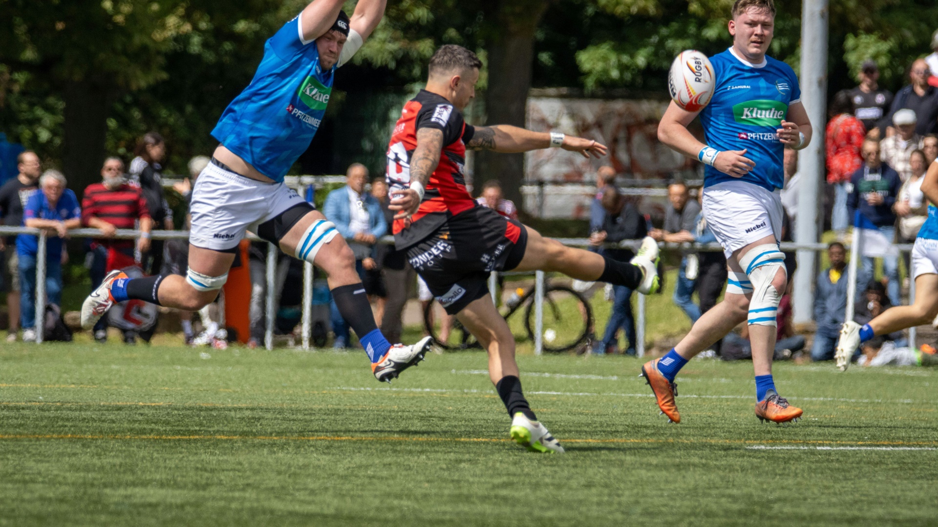 Rugby Frankfurt gewinnt vierten Meistertitel in Serie freenet.de