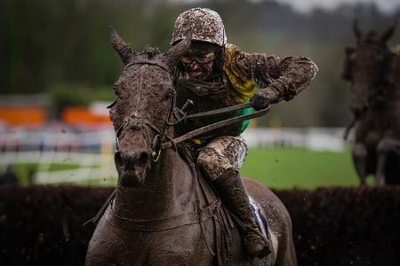 In der Kategorie Reitsport hatte David Davies die Nase vorn.