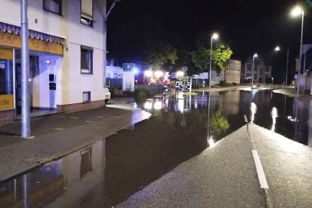 FW Celle: Starkregen, Brandgeruch, Wasserrohrbruch und eine Schlange ...