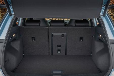 Ford Explorer Dual Electric Extended