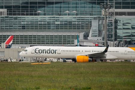 condor