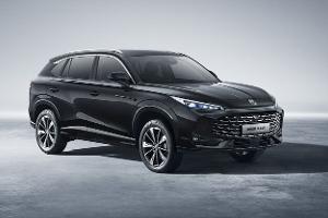 Als Benziner und PHEV mit Riesen-Reichweite