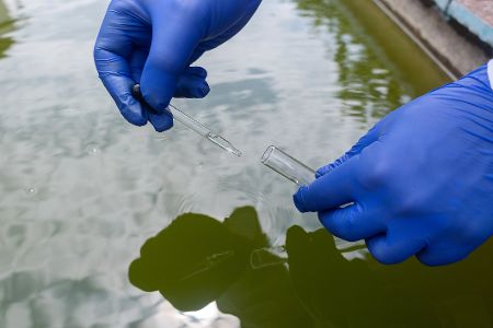 Zwei Hände mit blauen Einweghandschuhen nehmen eine Wasserprobe